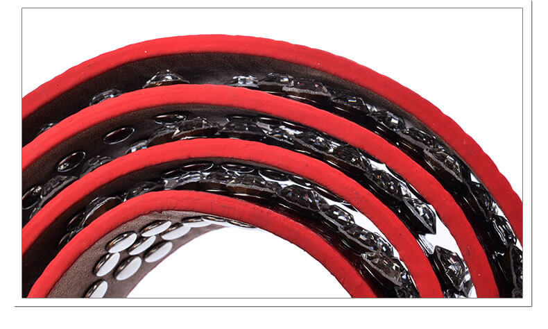 Velora Studded Leather Belt For Dress - 详情-15 view - WAAMII