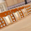 GlamEdge Rhinestone Belt - Detailed shot (3) - WAAMII