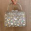 Gemma Fleur Rain Rhinestone Clutch in Silver - WAAMII