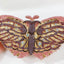 Aurora Butterfly Crystal Minaudière - Main View 04 - WAAMII
