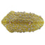 Nerina Conch Sparkling Minaudière - Main View 03 - WAAMII