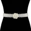 Luxury Bling Crystal CZ Diamond Belt-WMD1017 - - Luxury Accessories by WAAMII