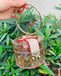 Mini Round Transparent Jelly Bag Silk Scarf Clutch - - Luxury bags by WAAMII