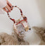 Mini Round Transparent Jelly Bag Silk Scarf Clutch bags WAAMII Transparent 12x12x9 cm
