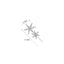 Crystal Star & Moon Hair Pin Set - View 7