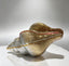 Marina Spiral Shell Rhinestone Clutch - View 4