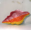 Marina Spiral Shell Rhinestone Clutch - Seven Colors