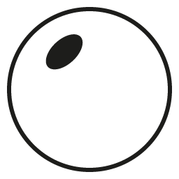 Polarized Sunglass Lenses - - Luxury LensAdvizor by LensAdvizor