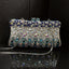 Maris Rhinestone Evening Clutch - Main View 02 - WAAMII