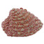 Nerina Conch Sparkling Minaudière