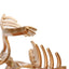 Elegant Solid Color Hair Clip Hairpins Hair Crab Accessories WAAMII   