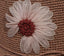 Handmade Silk Embroidered Daisy Woven Summer Straw Hat For Lady-WCM084 Accessories WAAMII   