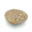 Hollow Out Diamante Octopus Crystal Clutches Purse - - Luxury bags by WAAMII