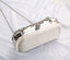 Luxury Crystal Diamante Beaded Clutch Bag-Silver/Apricot - - Luxury bags by WAAMII